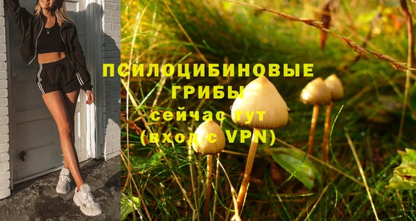 ешки Нея