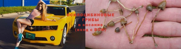 ешки Нея